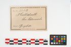 Foto von Henkeltopf (NHMW-PRAE-034828)